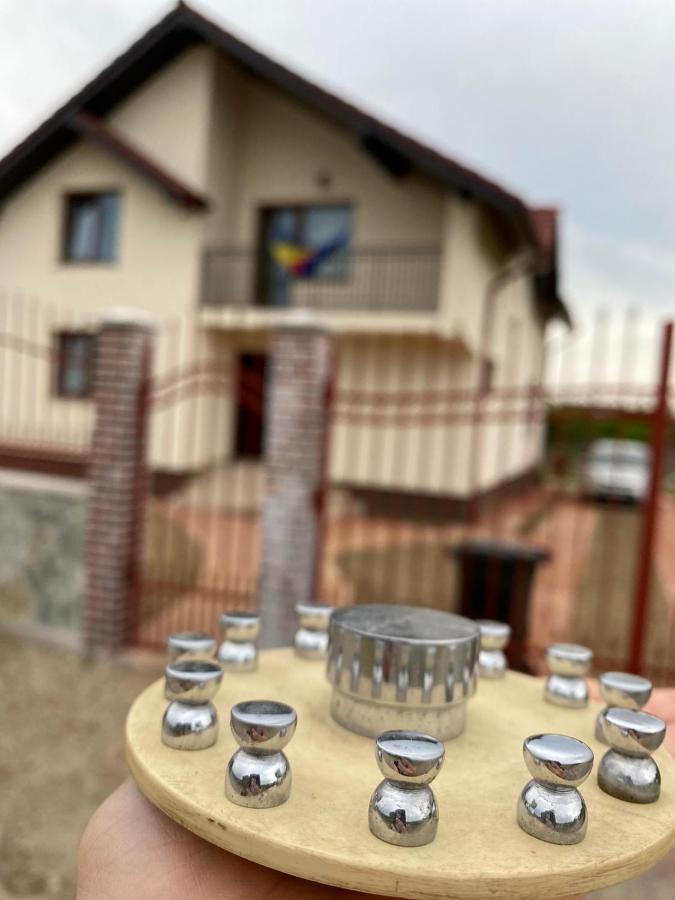 Casa Brancusiana Apartment Targu Jiu Ngoại thất bức ảnh