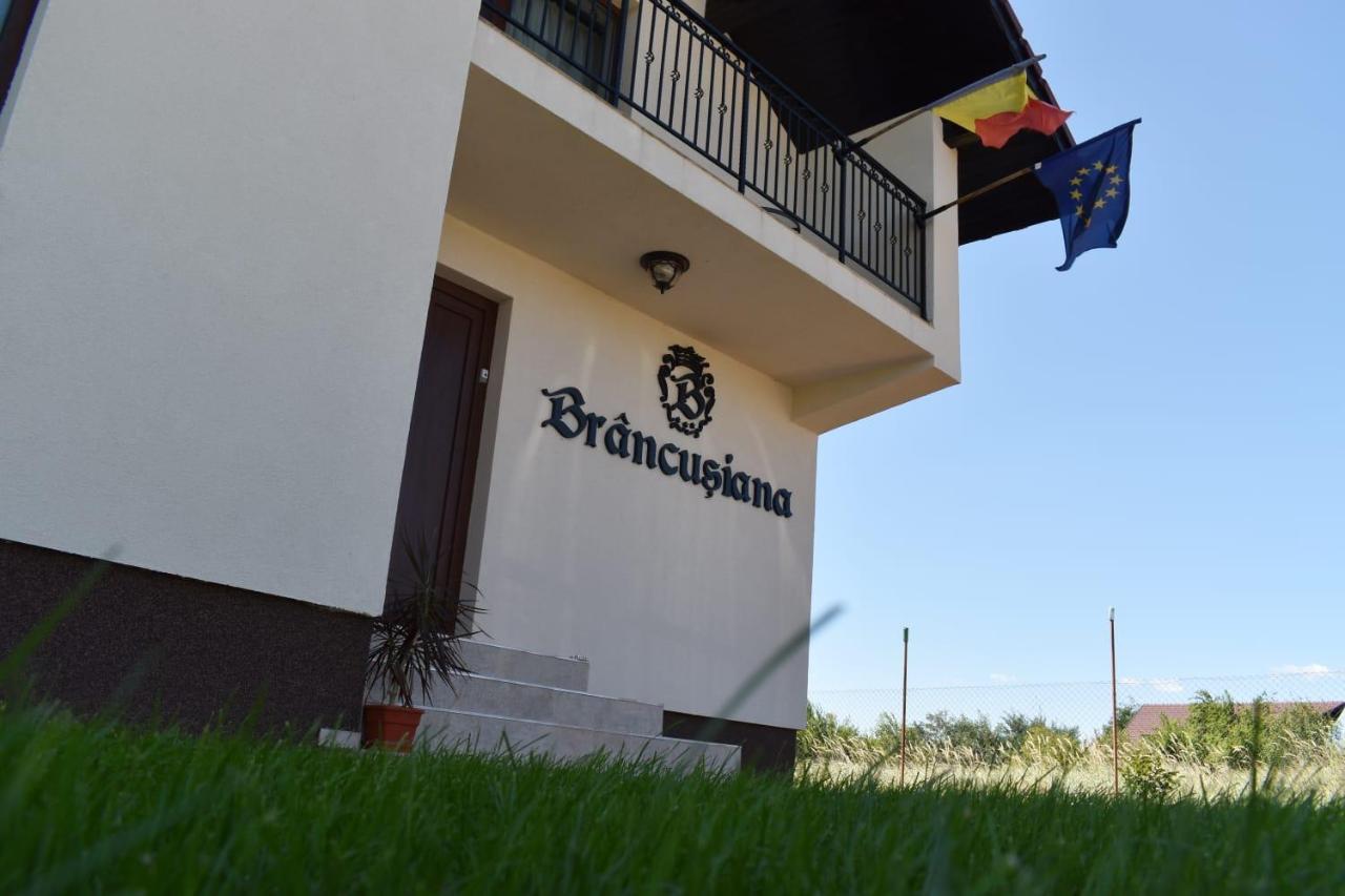 Casa Brancusiana Apartment Targu Jiu Ngoại thất bức ảnh